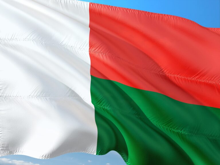 MADAGASCAR FLAG BIG 768x576