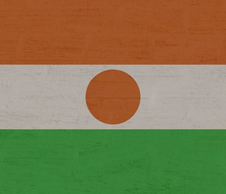 niger Kaufdex pixabay 768x658